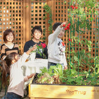 タカショー ホームベジトラグ S VGT-01F 1台（直送品）