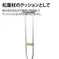 竹虎 タケトラピタッとタイ 2.5cmx4.5m（伸長） 021507 1巻