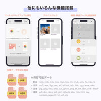 Maktar スマホに挿すだけデータ自動バックアップ Piconizer4 256GB MKP4-SG-256G 1個