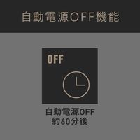 小泉成器 ダブルプロテクトストレートアイロン VSI-1070/WJ 1台