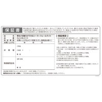 大進 人感 センサーライト ソーラーライト 屋外 防雨 LED DLS-WL010 1セット（1台×2）（直送品）