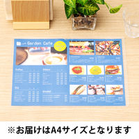 アスクル カードケース ソフトタイプ A4  1枚 オリジナル