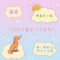 フローラケア グレインフリー 成犬用 国産 2.4kg（400g×6袋）1袋 スマック ドッグフード