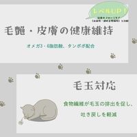 フローラケア グレインフリー 5つの健康ケア（腎臓の健康）チキン味 国産 600g（100g×6袋）1袋 スマック キャットフード