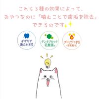 エブリデンタ 歯みがきおやつ かつお味 国産 30g（5g×6パック）1袋 スマック 猫用 おやつ