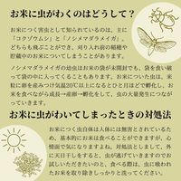 山形県産 はえぬき 1.8kg 1袋 無洗米玄米 令和7年産 スマート米 オプティム