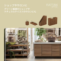 ナカバヤシ ラタンスタイル ファイルスタンド RSS-FS01BR 1個