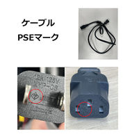 ECOFLOW ポータブル電源 RIVER3 MAX(580) EFRIVER3Max-580-JP-CBOX 1台