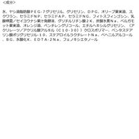 ナイス＆クイック ボタニカルモイストジェルクレンジング  500g ボーテ・ド・モード
