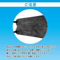3D立体型マスク 5枚入 ワイドサイズ 黒 10袋セット DYB05-10-AS 1セット（10袋） エスパック（直送品）