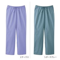 フォーク PANTONE（パントン） メンズストレートパンツ アルティメットグレー 5018SC-75-3L 1枚（直送品）
