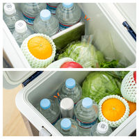 ステンレスアイスパック ロッド 武田コーポレーション 保冷剤 繰り返し スティック 冷却用品 クーラーボックス 1個