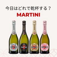 イタリア マルティーニ アスティ スプマンテ 白 甘口 375ml 1セット（5本） スパークリングワイン サッポロ