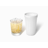 ライクイット 製氷皿 クラッシュアイス 俺のクラッシュアイスメーカー ホワイト STK-07 日本製 1個