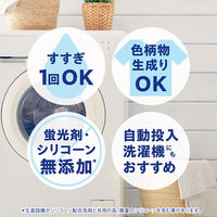 ナノックス ワン（NANOX one）スタンダード 本体 380g 1個 洗濯 洗剤 ライオン