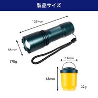 朝日電器 大光量アルミライト1000LM DOP-EP1000 1個