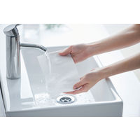 アイリスオーヤマ ペーパータオル 中判 ティッシュ シングル 濡れると99％除菌できるペーパータオル 厚手 JPT-120 1袋（120枚入）