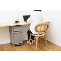 天馬 フィッツケース FC40-3020 グレー 110014837 1個