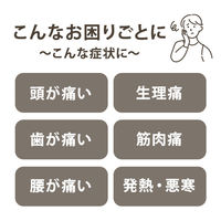 【アウトレット】【限定デザイン】アセトアミノフェン錠「LS」60錠 解熱鎮痛剤 中央製薬　生理痛頭痛咽頭痛 持ち運びやすいチャック袋 オリジナル【第2類医薬品】