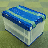 【養生テープ】ダイヤテックス パイオランテープ Y-09-GR 塗装・建築養生用 グリーン 幅50mm×長さ25m 1箱（30巻入）