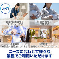 ファブリーズ ダブル除菌 布用 香りが残らない 詰替10L 1個 消臭スプレー P&G