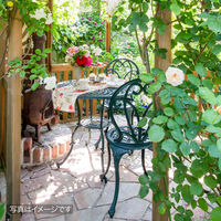 タカショー フロール ガーデンチェアー IGF-C04 1個