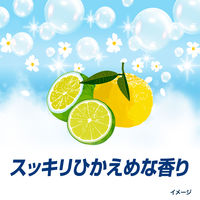 アリエール 洗濯洗剤 液体 洗濯槽まるごと除菌＋カビ撃減 スッキリひかえめな香り 詰め替え ウルトラジャンボ 1400g 1セット（1個×3） P＆G