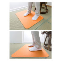 立ち上がり 補助 マット 転倒防止 すべらない 拭ける 手洗い 福祉 介助 介護 45×60cm 1枚 サンコー 転倒防止