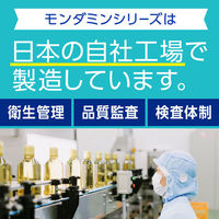 【アウトレット】【旧品】マウスウォッシュ 携帯用 口臭 モンダミン ストロングミント ミニボトル 100mL 洗口液 歯垢 アース製薬 持ち運び
