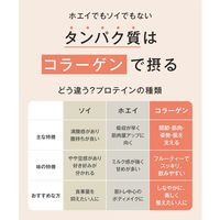 Collatein（コラテイン） コラーゲンプロテイン レモネード味 1袋（210g） I-ne コラーゲン由来のプロテイン