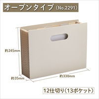 キングジム サクッと整理！ドキュメントファイル（オープン） ベージュ 2291ーBE 1セット（1冊×6）