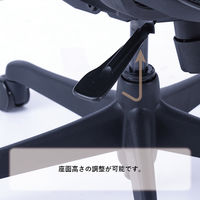 【車上渡し】Ergohuman EJ-ToBe2 KM-11 ブラック 400727 1脚（直送品）