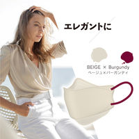 STYLEマスク バイカラー ベージュ×バーガンディ　シンズ 個包装 カラーマスク　使い捨て　不織布　3D　ダイヤモンド型　立体　1袋（5枚入）