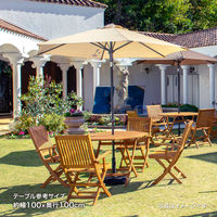 タカショー プッシュアップパラソル2.5mBE GSTY-P10BE 1本