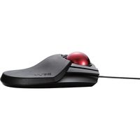 トラックボールマウス 有線 8ボタン 人差し指 大型ボール 直径52mm パームレスト搭載 ブラック M-HT1URXBK エレコム 1個