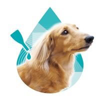 ドギーマン 薬用ペッツテクト+ フォースガード 小型犬用 3本入 3個