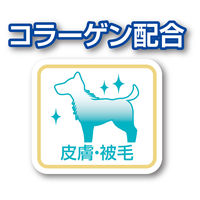 プラクト 総合栄養食 半生ごはん 成犬用 健康維持サポート 無添加 国産 150g（30g×5袋）3袋 ペティオ