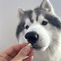 ペティオ 素材そのまま フリーズドライ ヤギミルク＆ササミ 無添加 25g 1セット（1袋×3）犬用 おやつ