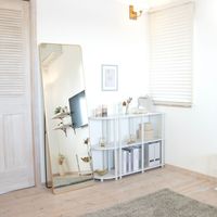 武田コーポレーション スタンドミラーワイドGD A3-SM150GD 1箱(1個入)（直送品）