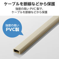 配線カバー 壁用 モール ( 長さ1m × 幅21mm ) フラット ベージュ LD-GAF2M エレコム 1個（直送品）