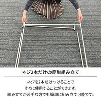 天馬 ポーリッシュ インテリア物干し ふとん干し PSI-07 1セット（3個）