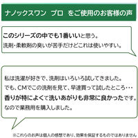 ナノックス ワン（NANOX one）PRO プロ 業務用 洗濯洗剤 濃縮 液体 詰め替え バックインボックス 10kg 1個 ライオン