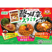 日清食品 日清チキンラーメン  10963 1袋5食入（わけあり品）