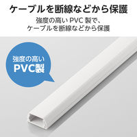 エレコム 配線カバー 壁用 モール ( 長さ1m × 幅26mm ) フラット ホワイト LD-GAF3MWH 1個（直送品）