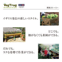 タカショー ホームベジトラグ L VGT-02F 1台（直送品）