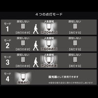 大進 センサーライト AC 100V コンセント式 屋外用 2灯式 LED 防雨 人感 暗くなると点灯 防犯ライト（直送品）