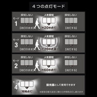 大進 人感 センサーライト コンセント 屋外 LED 防雨 DLA-17T300 1セット（1台×2）（直送品）