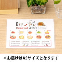 アスクル カードケース ソフトタイプ A5  1箱（20枚） オリジナル