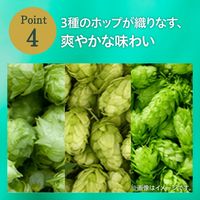 ノンアルコール　ビールテイスト飲料　キリン　グリーンズフリー　350ml　1セット（1缶×96）　 KB23A