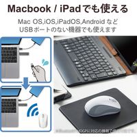 Bluetoothマウス 無線 ワイヤレス 3ボタン 抗菌 Sサイズ 白 M-BY10BRKWH エレコム 1個